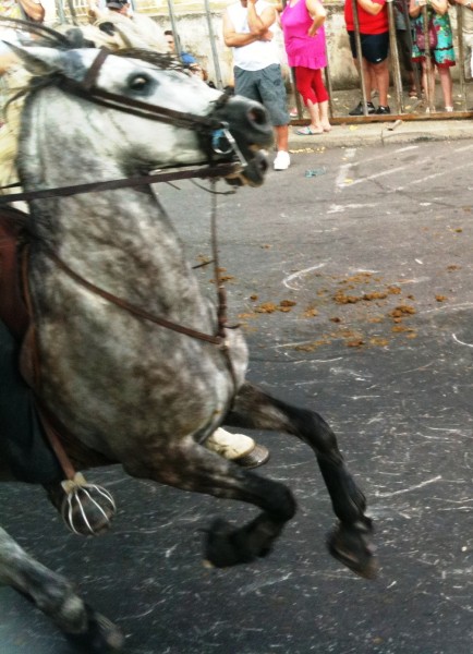 Photo de profil de sandosa