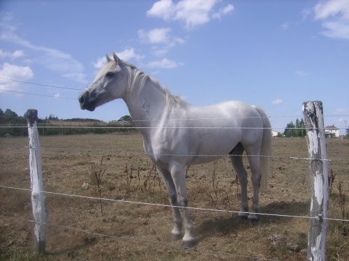 Photo de profil de verod