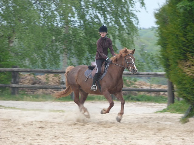 Photo de profil de bestouille27