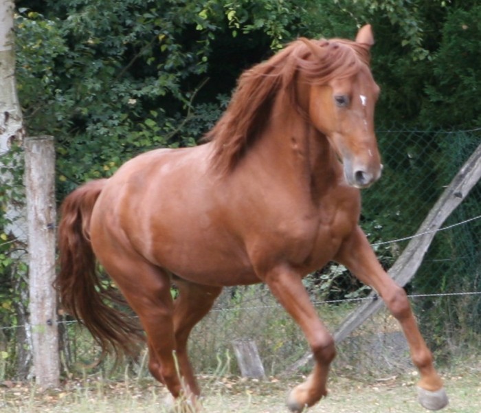 Photo de profil de noves