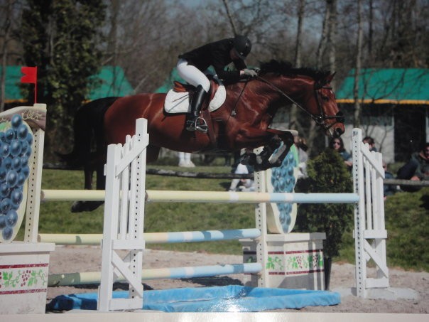 Photo de profil de xixie