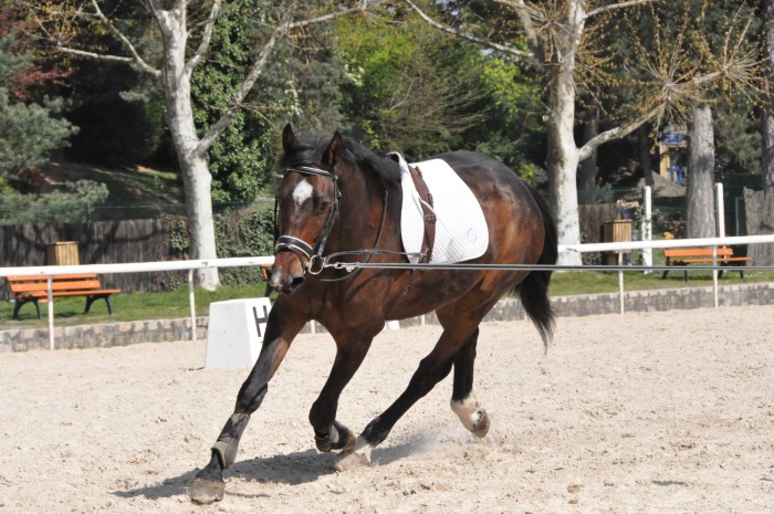 Photo de profil de sophiasehil