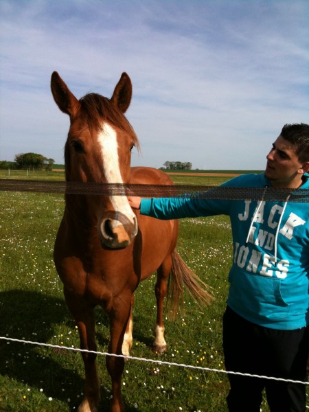 Photo de profil de serra