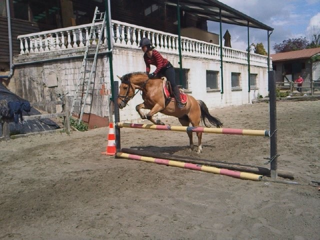 Photo de profil de caelyz