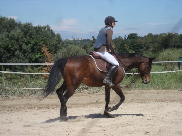 Photo de profil de memel13960