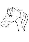 Photo de profil de dreamshorse