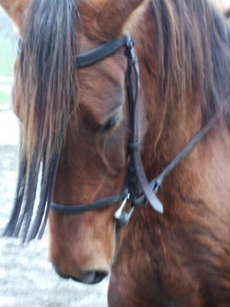 Photo de profil de bewiize