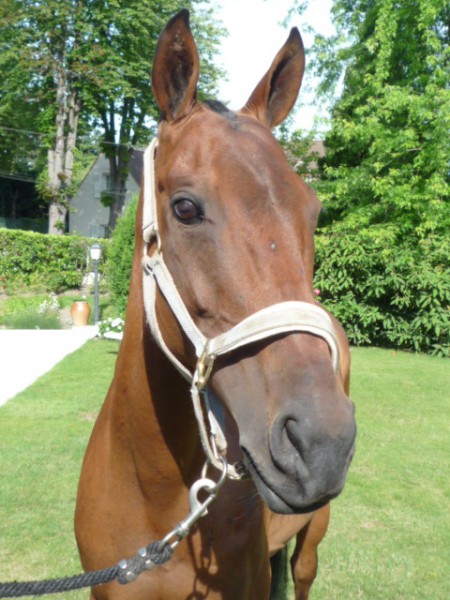 Photo de profil de alixita