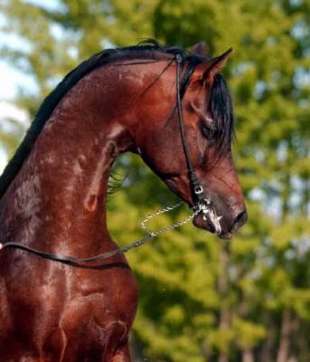 Photo de profil de candy26