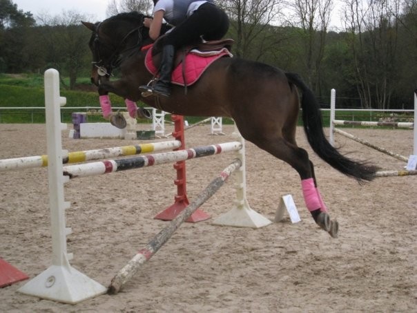 Photo de profil de camillesp06