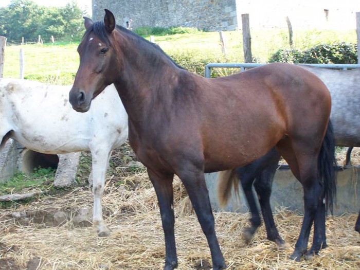 Photo de profil de luispinto