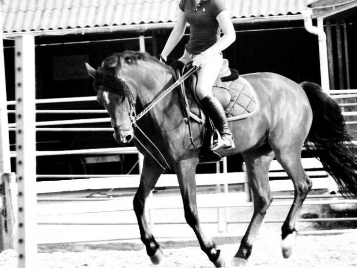 Photo de profil de omalleyderedon