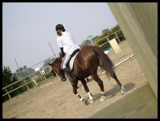 Photo de profil de fireflie