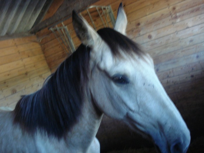 Photo de profil de oceaneaglaee