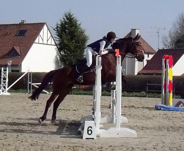 Photo de profil de nouchkadaubin