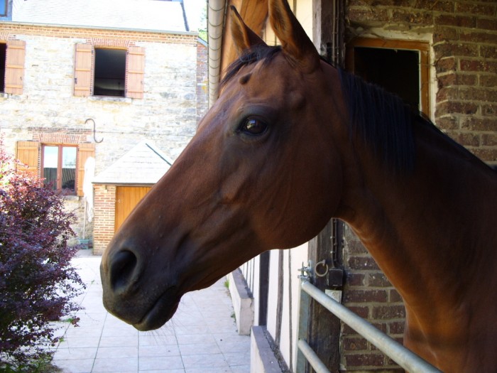 Photo de profil de javanne