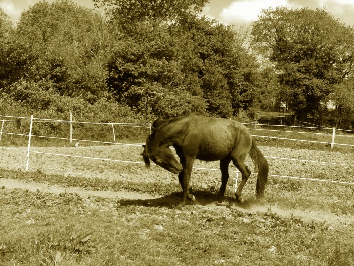 Photo de profil de babeth29
