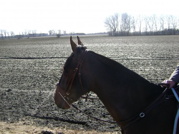 Photo de profil de sire59113