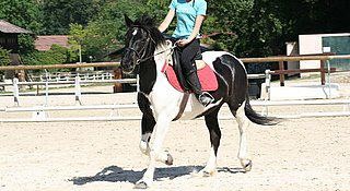Photo de profil de adelaideb