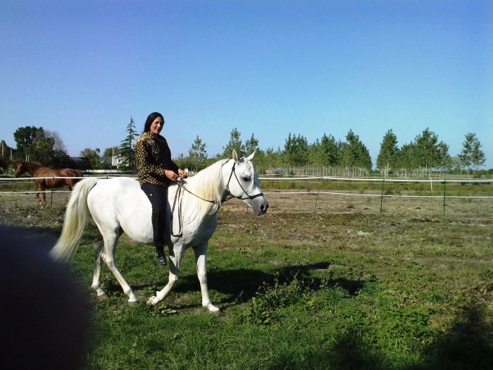 Photo de profil de madjani