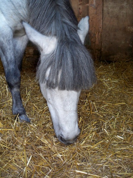 Photo de profil de goulgoul