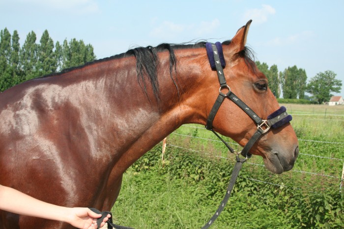 Photo de profil de minalala