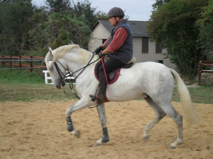 Photo de profil de plusdereve
