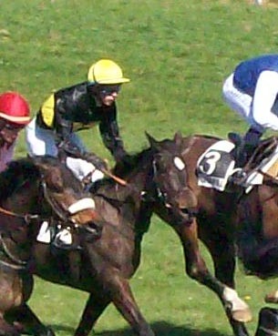 Photo de profil de prunesauvage