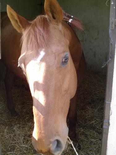 Photo de profil de lysian