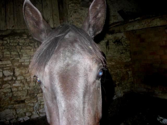 Photo de profil de blackjackk