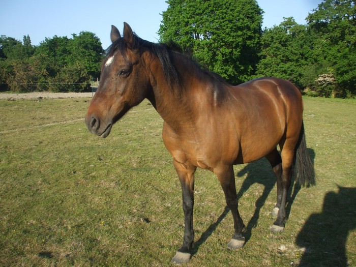 Photo de profil de eben