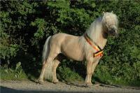 Photo de profil de winda