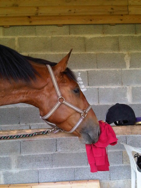 Photo de profil de arnoo56