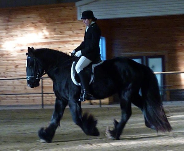 Photo de profil de lucia23