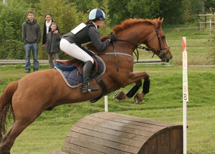 Photo de profil de carridgoldwyne