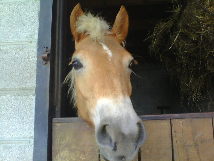 Photo de profil de cafou