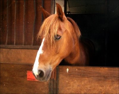 Photo de profil de fauff