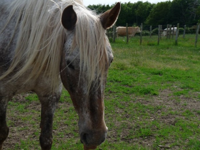 Photo de profil de majordum