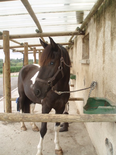 Photo de profil de ramsou