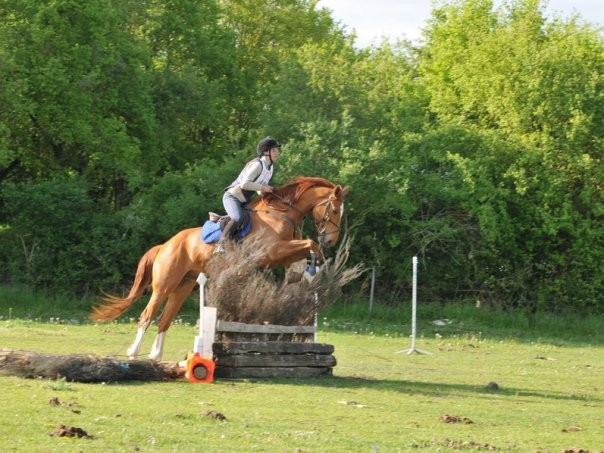 Photo de profil de malingres