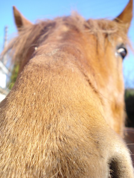 Photo de profil de nimel