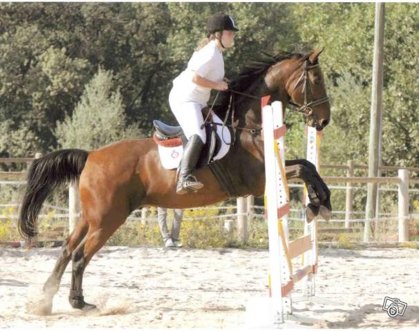 Photo de profil de calvaro