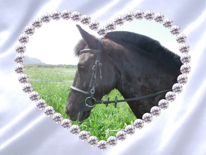 Photo de profil de lielie