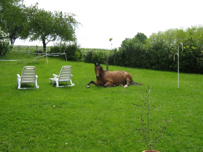 Photo de profil de kidway