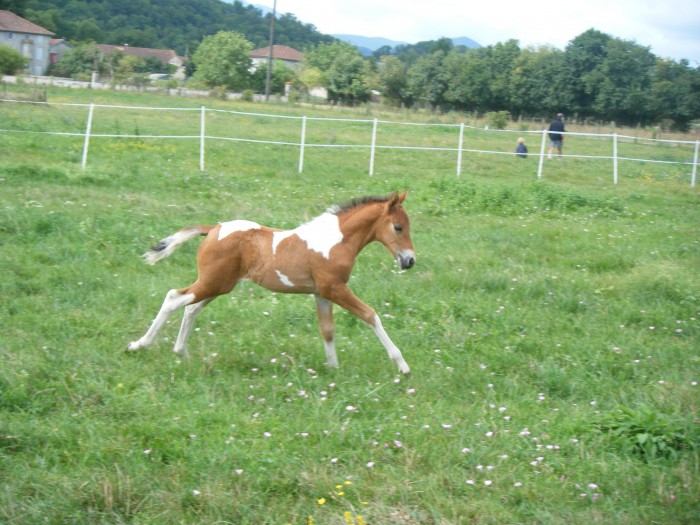 Photo de profil de isadag