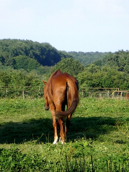 Photo de profil de chrystal