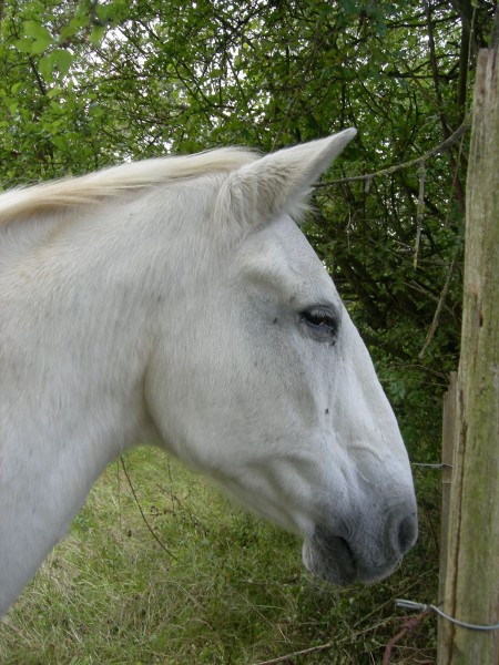 Photo de profil de nallie