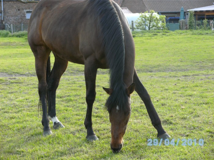 Photo de profil de djakao