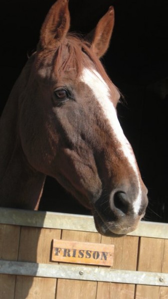 Photo de profil de biibiifriisson