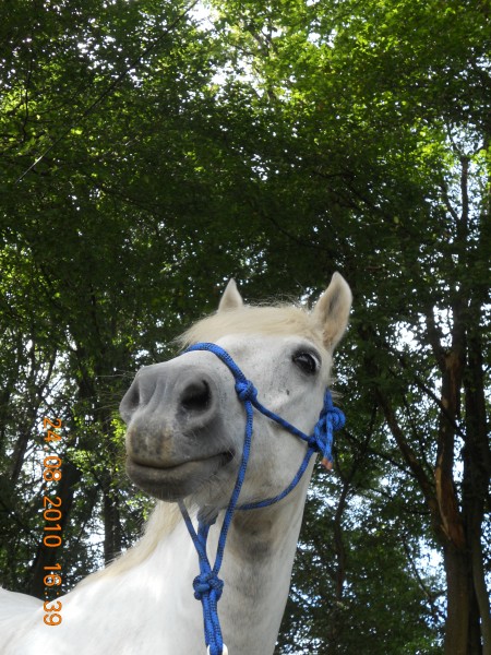 Photo de profil de deydou